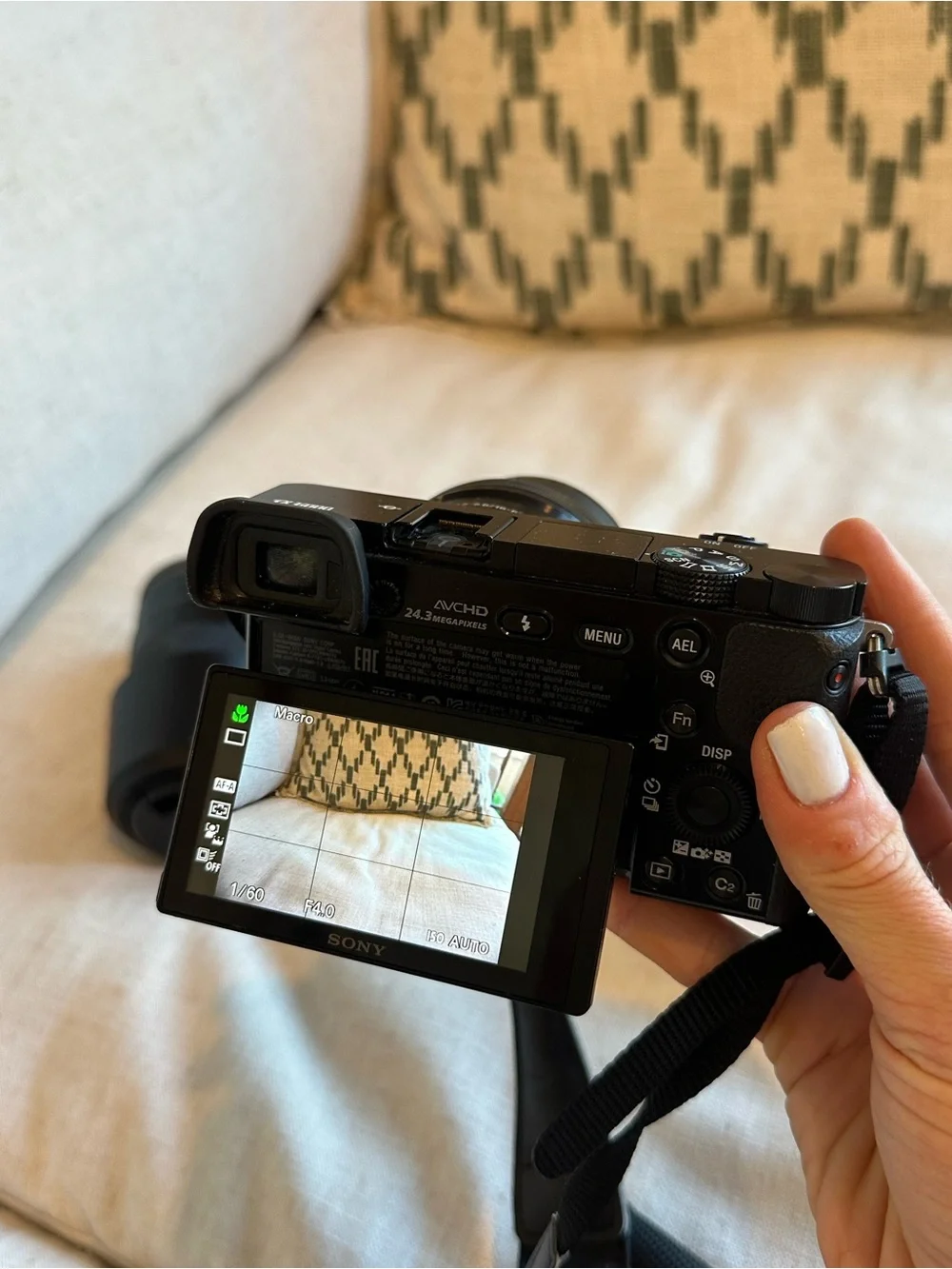 Sony a6000 Camera with Two Lenses